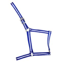 CABEZADA DE NYLON ECONÓMICA Marjoman Distribution comprar equipación equitación España