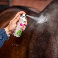 Alternative view of SILVER SPRAY BENSE & EICKE