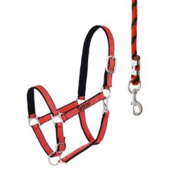 CABEZADA TATTINI CON ACOLCHADO Tattini comprar equipación equitación España