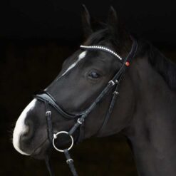 Cabezada para filete Kieffer Amy Shine Kieffer comprar equipación equitación España