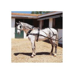 ENGANCHE CON COLLERÓN PARA UN CABALLO HEBILLAJE INOX Marjoman Distribution comprar equipación equitación España