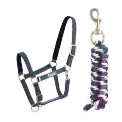 CABEZADA TATTINI CON ACOLCHADO Tattini comprar equipación equitación España