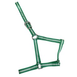 CABEZADA DE NYLON ECONÓMICA Marjoman Distribution comprar equipación equitación España
