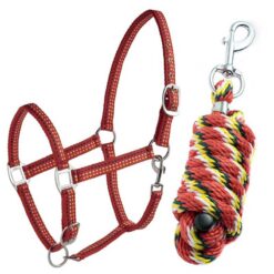 Conjunto de cabezada Daslö + Ramal Tattini comprar equipación equitación España