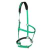 Verde oscuro