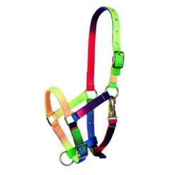 CABEZADA MULTICOLOR TATTINI PARA POTRO Tattini comprar equipación equitación España