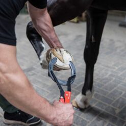 boca recta Werkman Hoofcare comprar equipación equitación España