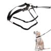 PERRO HARNESS MAXI LEADER NEGRO - Tamaño: S