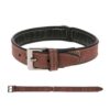PERRO COLLAR CALIFORNIA MARRÓN - Tamaño: XS