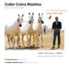 COLLAR COBRA MADRINA CON RAMAL TRENZADO -
