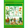 LIBRO: GUÍA. HIERBAS PARA CABALLOS -