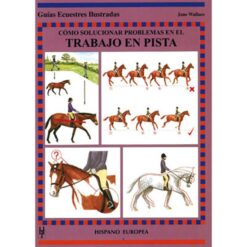 LIBRO: GUÍA. CÓMO SOLUCIONAR PROBLEMAS TRABAJO EN PISTA -