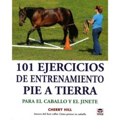 LIBRO: 101 EJERCICIO DE ENTRENAMIENTO PIE A TIERRA -