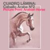 CUADRO LÁMINA: CABALLO ÁRABE Nº2 -
