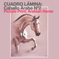 CUADRO LÁMINA: CABALLO ÁRABE Nº2 -
