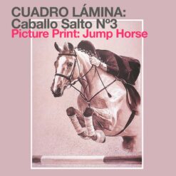 CUADRO LÁMINA: CABALLO SALTO Nº3 -