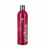 CARR & DAY CHAMPÚ CABALLOS ALAZÁN & CASTAÑO 500ml -