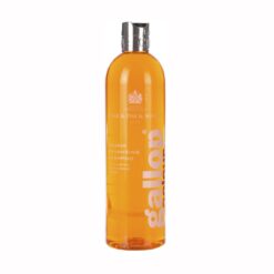 CARR & DAY CHAMPÚ CABALLOS CLAROS 500ml -