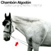 CHAMBÓN ALGODÓN 1799 -