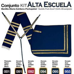 CONJUNTO ALTA ESCUELA MMeP - Color: Golden/Navy