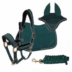 CONJUNTO RETRO CHIC MANTILLA +M+C+R - Color: Green
