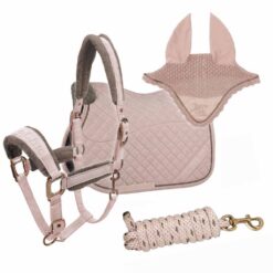 CONJUNTO RETRO CHIC MANTILLA +M+C+R - Color: Pink