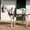 ENGANCHE DE BIOTHANE PARA UN CABALLO Marjoman comprar equipación equitación España
