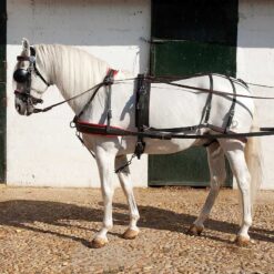 ENGANCHE DE BIOTHANE PARA UN CABALLO Marjoman comprar equipación equitación España