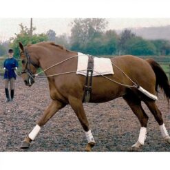 CHAMBON ESPECIAL DE ENTRENAMIENTO Tattini comprar equipación equitación España