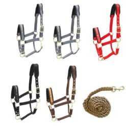 Lote cabezadas de nylon Kieffer Collection pony Kieffer comprar equipación equitación España