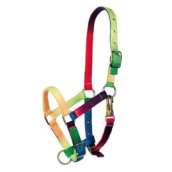 CABEZADA TATTINI MULTICOLOR PARA PONY Tattini comprar equipación equitación España