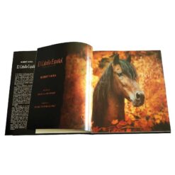 Alternative view of LIBRO EL CABALLO ESPAÑOL