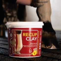 Alternative view of Arcilla Kevin Bacon's Recup Clay con árnica y bardana