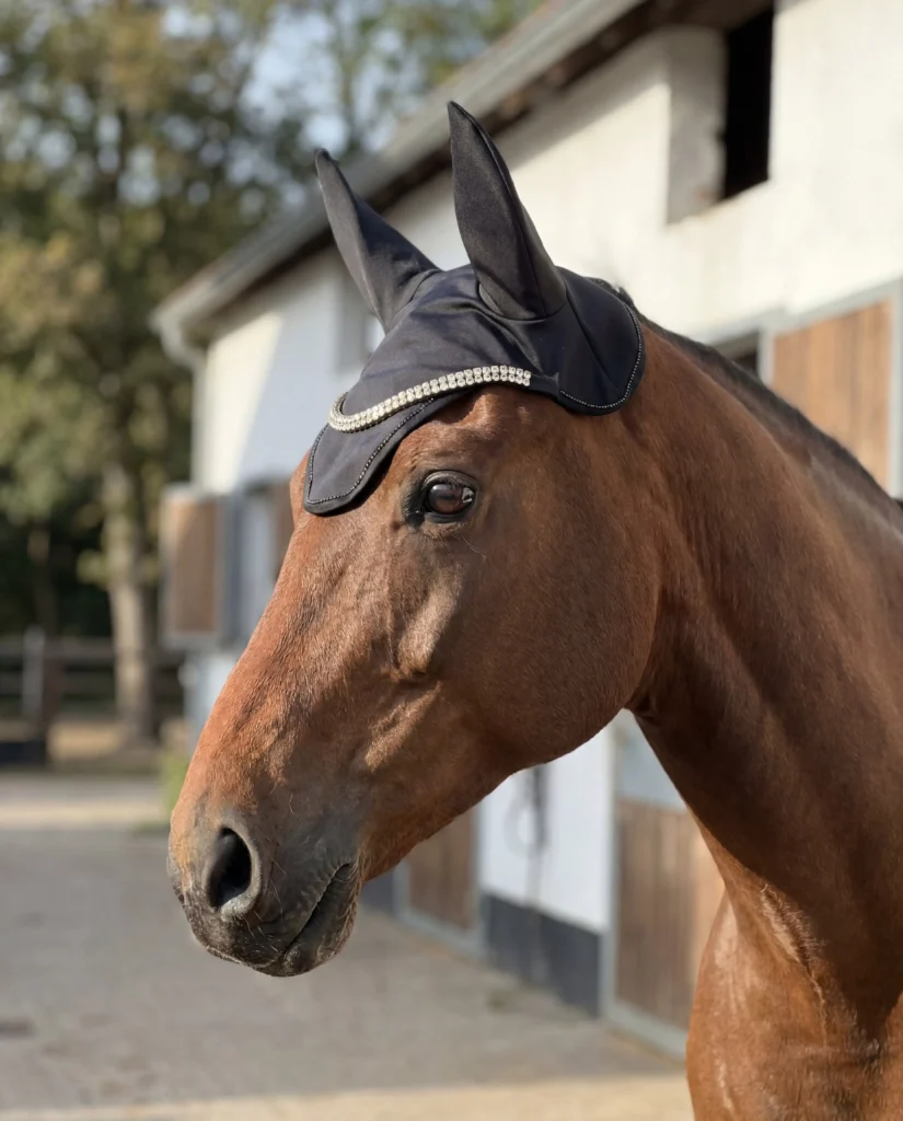 mosquero-caballo