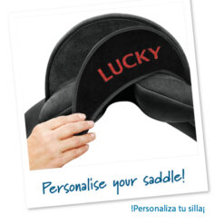 SILLA ING.USO GENERAL WINTECLITE D'LUX