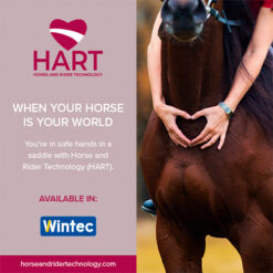 SILLA ING.DOMA CLASICA WINTECLITE D'LUX