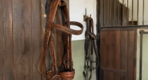 Tipos de cabezadas para caballos - guía Cabalium