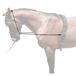 Chambon Hh Elastico