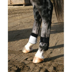 Protector Professional’S Choice Menudillo (Par)