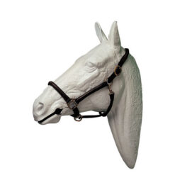 Cabezada Cuadra Hh Cuero Grande