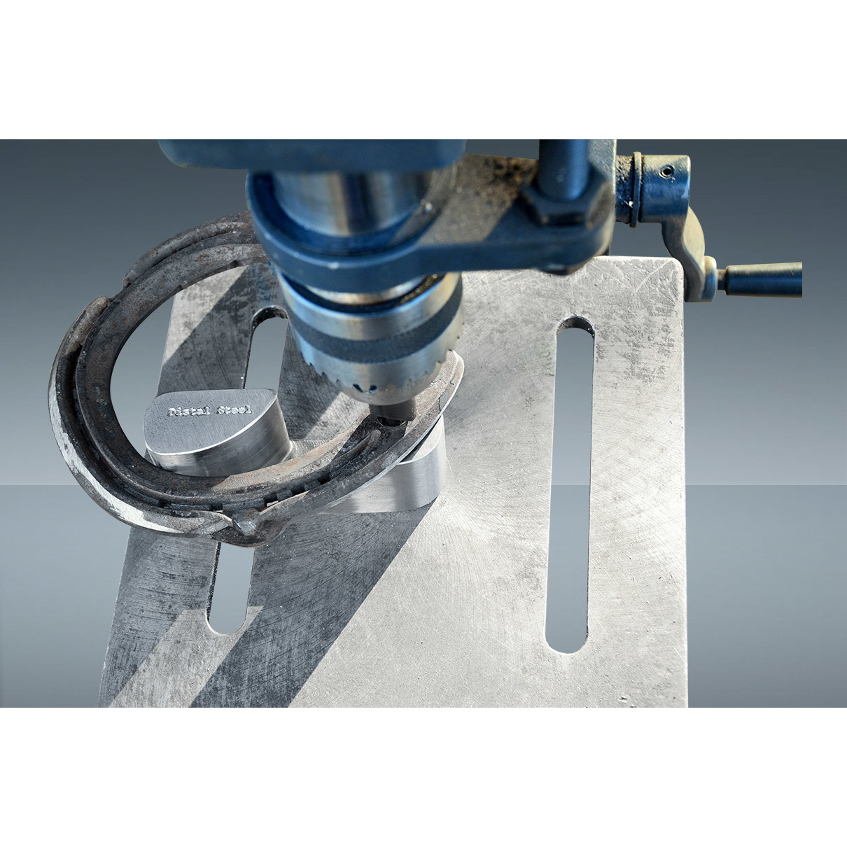Soporte Herraduras Distal Steel