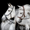 Cabezada Inglesa Horseware Micklem 2 Multibridle (Sin Riendas)