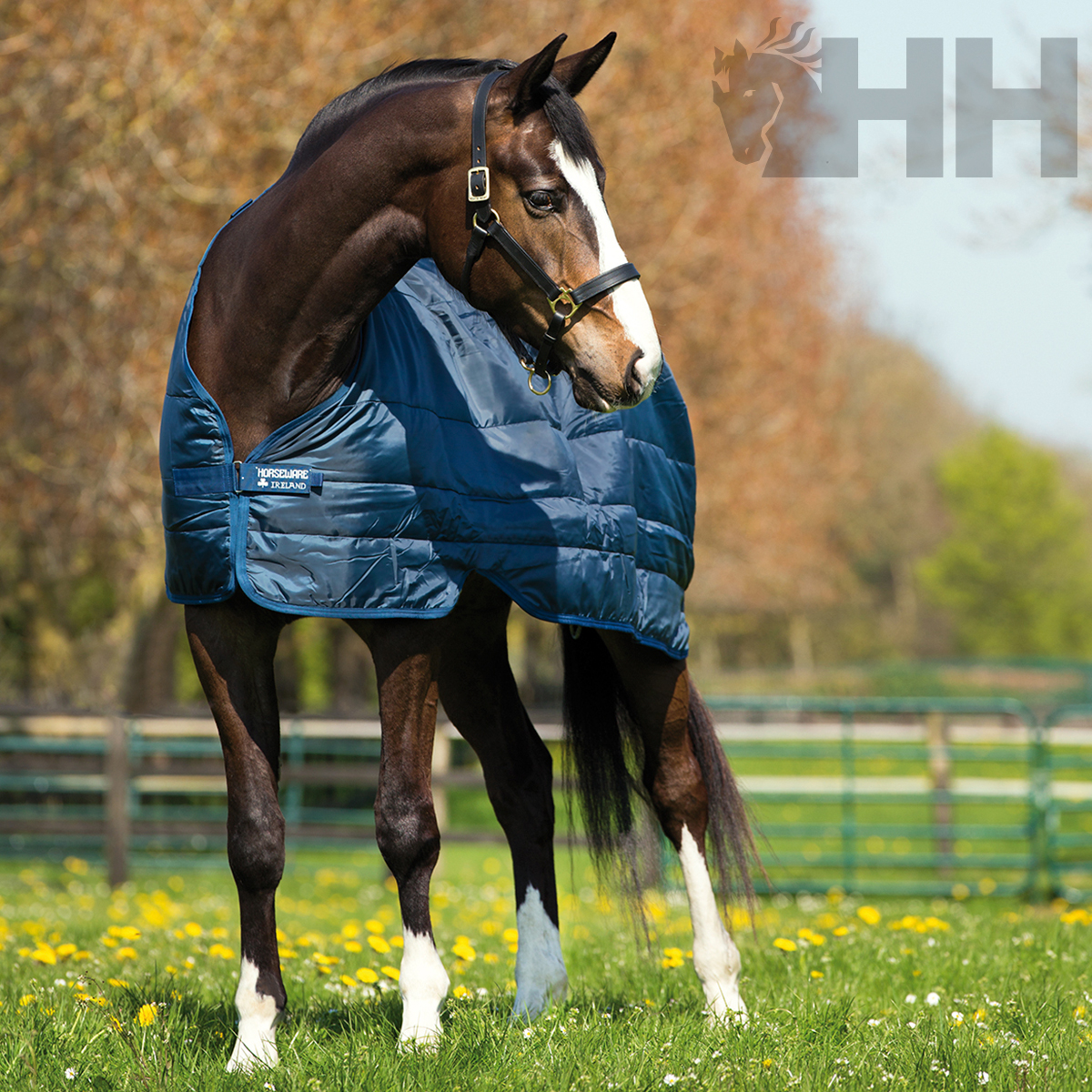 Manta Horseware Bajomanta Liner (300 G)