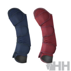Protector Lexhis Transporte (Juego 4)