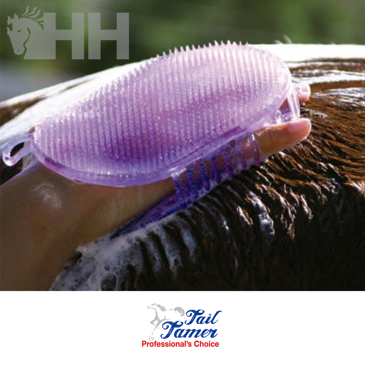 Almohaza Professional'S Choice Tail Tamer Original Jelly Scrubber (Caja 6 Unidades)