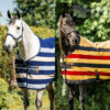 Manta Horseware Newmarket Polar