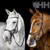 cabezada inglesa horseware micklem competition bridle de diseño anatómico · Cabalium