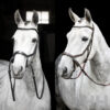 Cabezada Inglesa Horseware Micklem Bitless Bridle