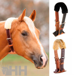 Collar Aire Professional’S Choice Dare