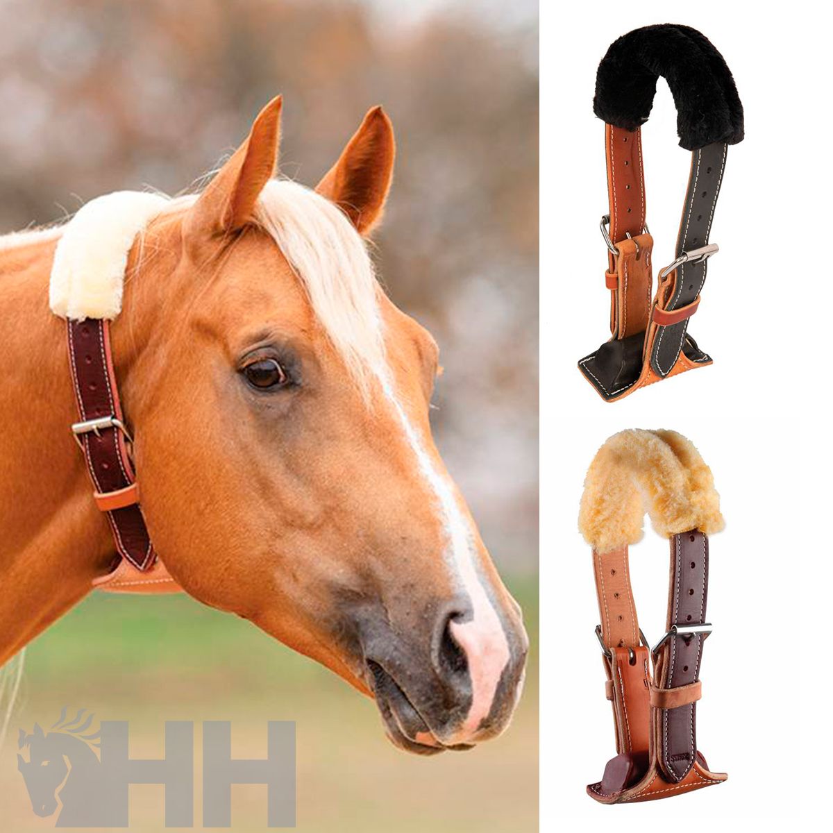Collar Aire Professional’S Choice Dare